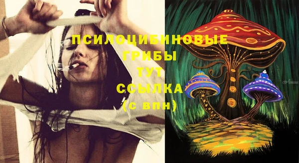 крисы Армянск